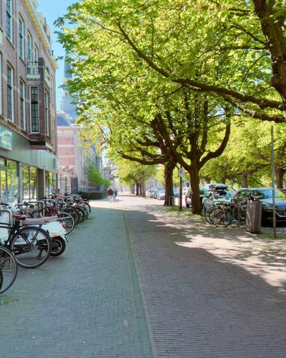 A tree-lined Den Haag street in summer, bicycles parked along the left curb, dappled sunlight on a brick pavement, a single figure walking in the middle distance. Photograph by Joe Gullo.
